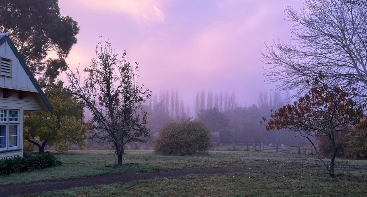 Clifton Homestead Ranelagh Zewnętrze zdjęcie